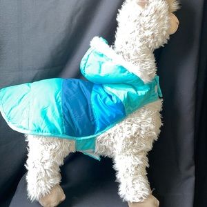 Dog rain coat. Tiffany vibrant color .